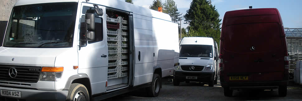 Our fleet of delivery vans